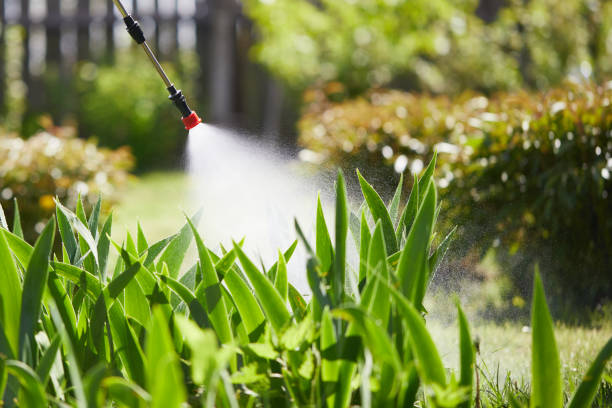 24/7 Emergency Wasp Removal experts in Harbor Springs, MI